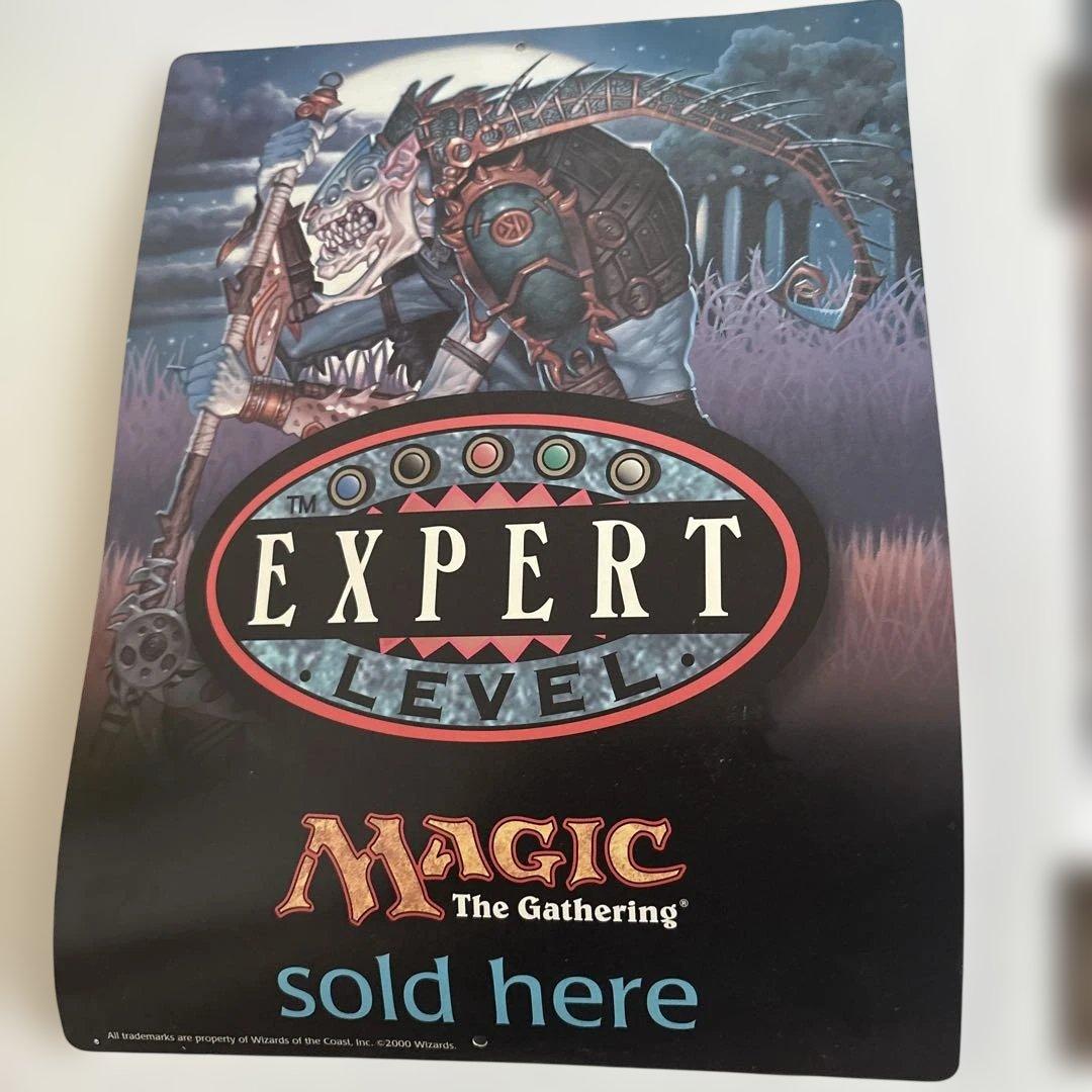 Magic: The Gathering EXPERT LEVEL ポスター