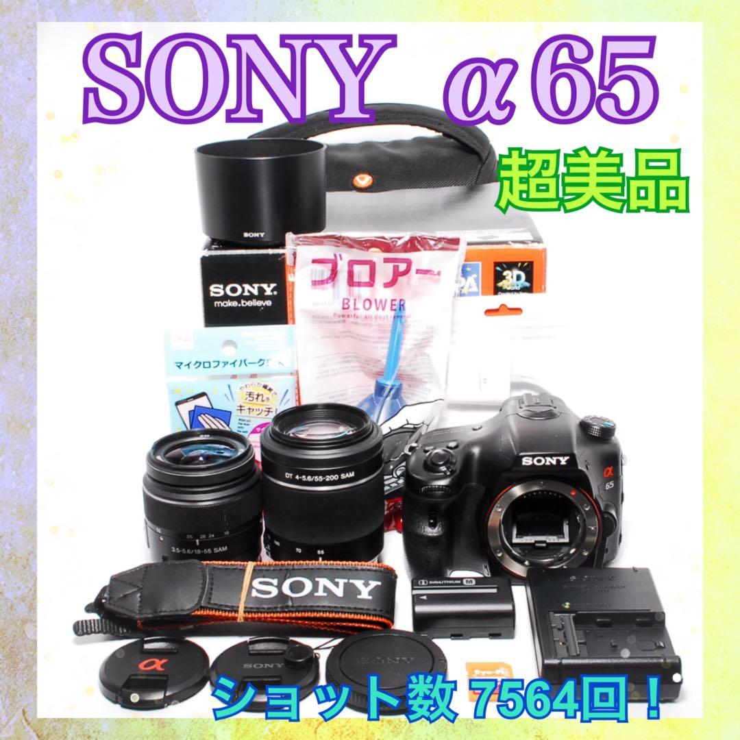 ショット数少なめ◆元箱＆カメラバッグ付き◆SONY α65◆一眼レフカメラ◆美品