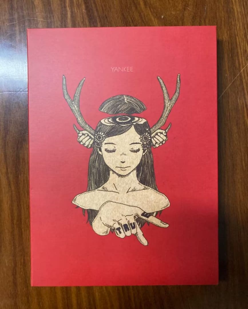 米津玄師　YANKEE　初回限定　画集版
