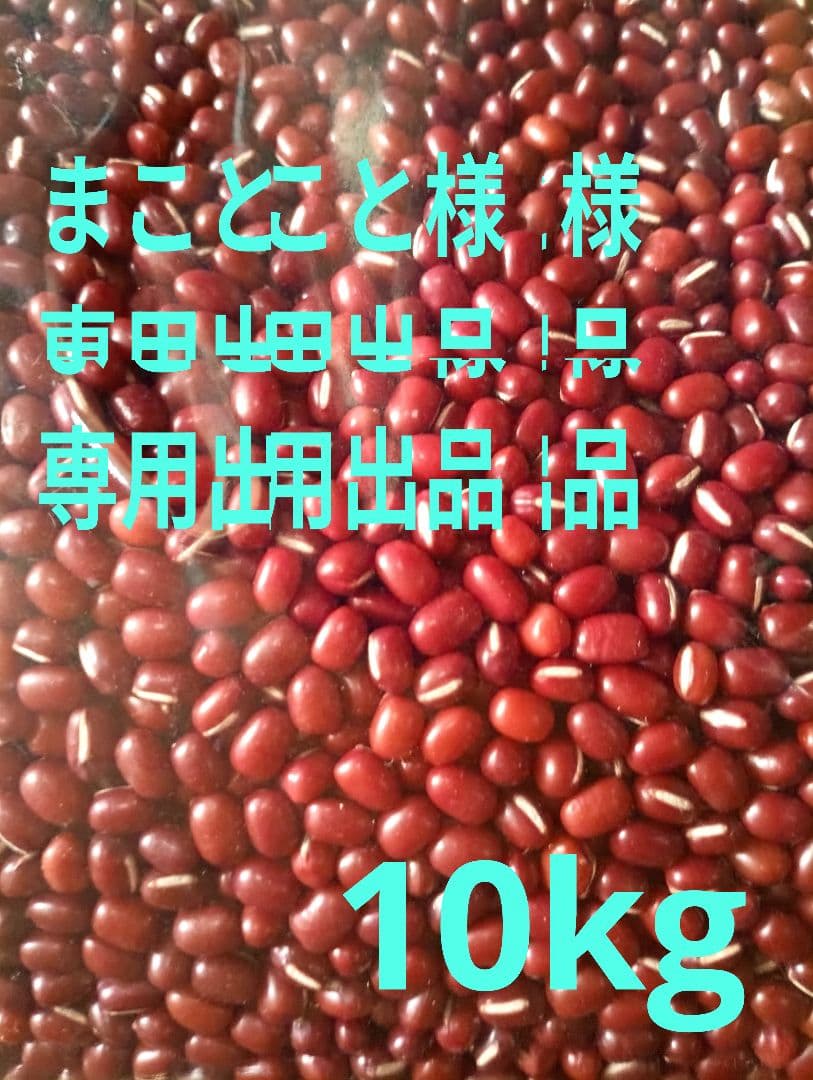 まこと出品　小豆　長野県産小豆 10kg　磨き薬品不使用　少し訳あり