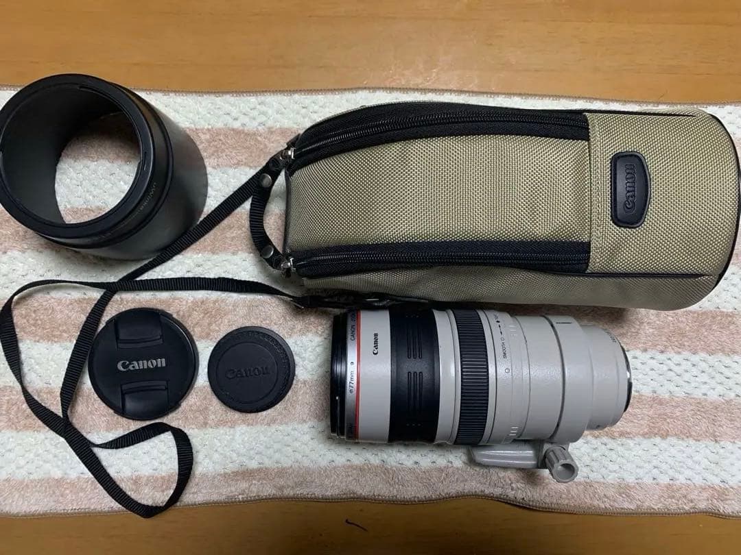Canon EF 100-400mm f/4.5-5.6L IS USMケース付