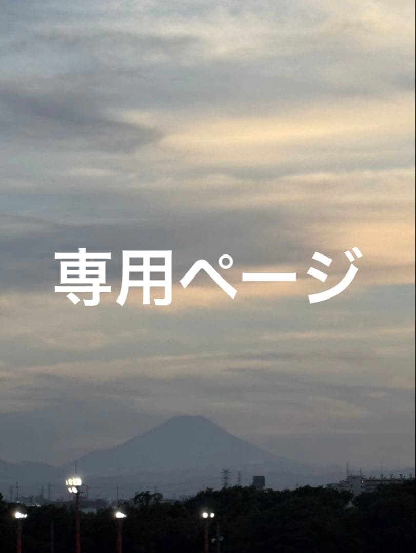 新品未使用　KAMIKA シルキースティックファンデーション　2本(ホワイト)