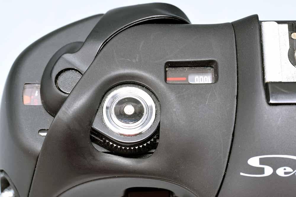 シーガル Seagull DF5000 ルイジ・コラーニ氏デザイン