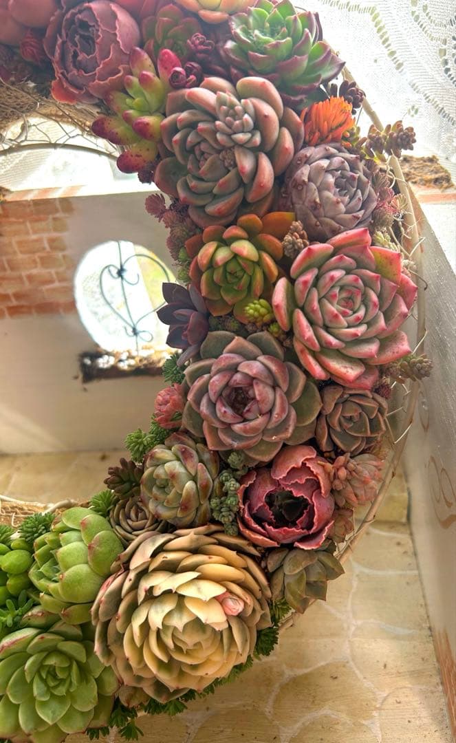 ❤️多肉植物そのまま飾れる❤️グラデーションリース❤️アイアンリース大きめ約35㎝