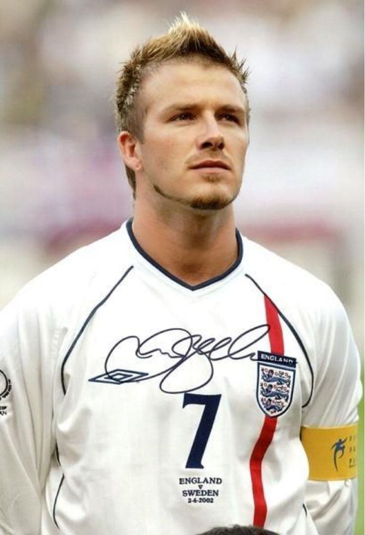 木の上の妖怪様