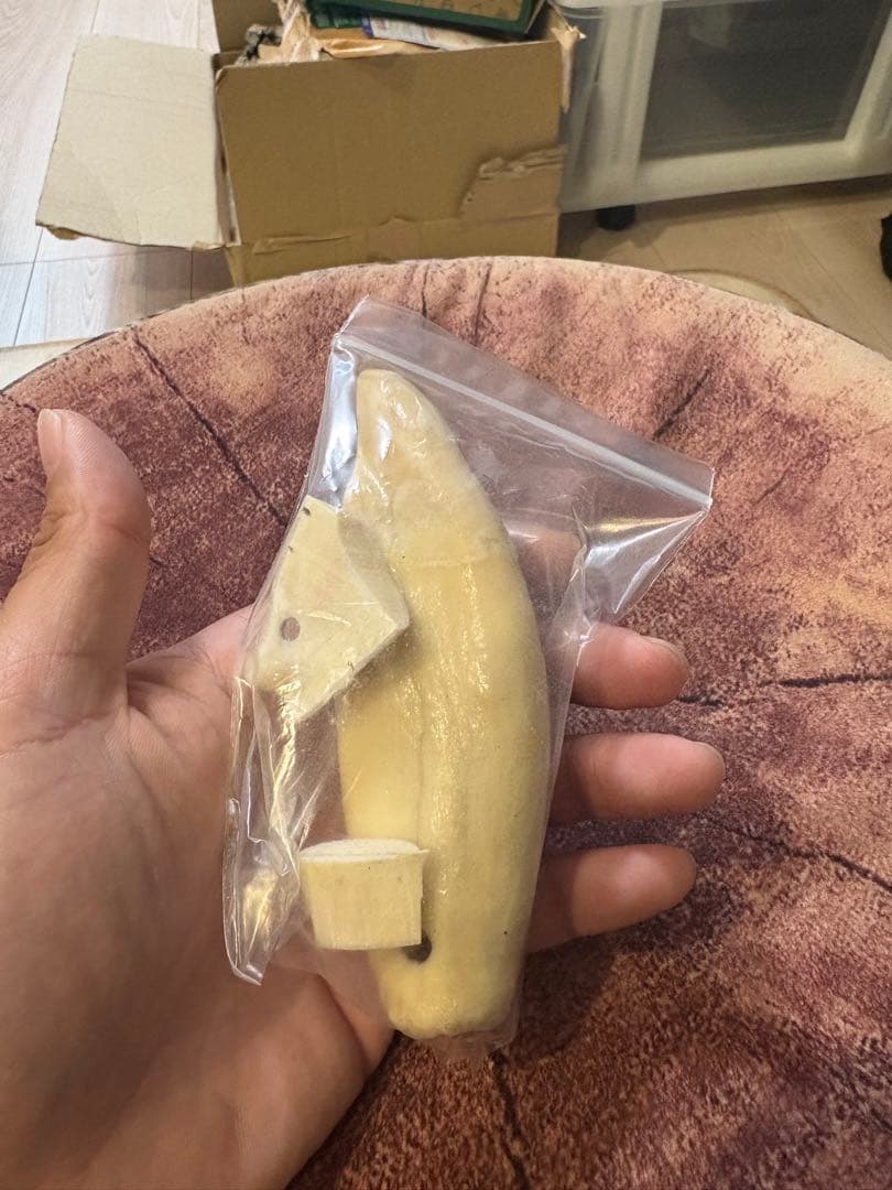 激レア材！シャチの歯