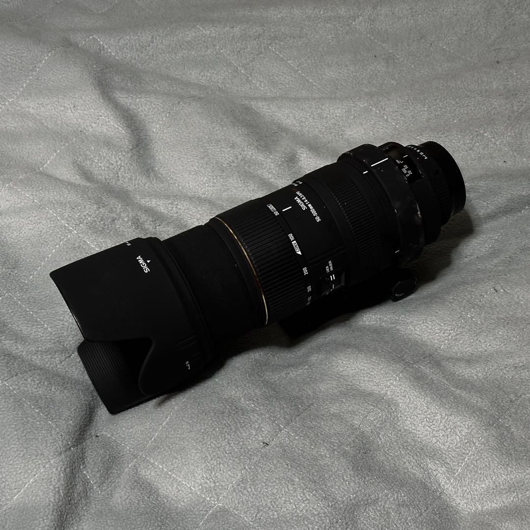 SIGMA 50-500mm F4-6.3 PENTAX Kマウント