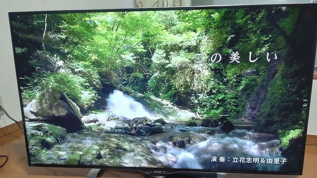 限界値下げ！送料込み！SHARP 4k液晶テレビ 50インチ