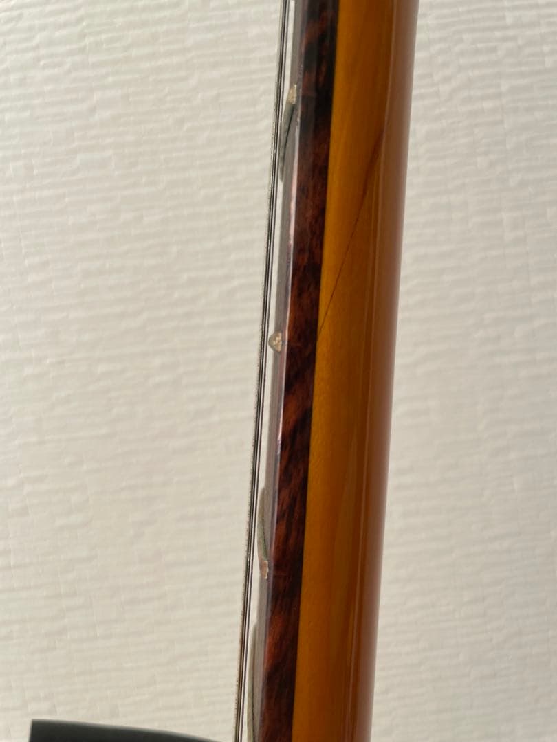 グラスルーツ G-FR-58GT フォレスト GrassRoots ギター レア