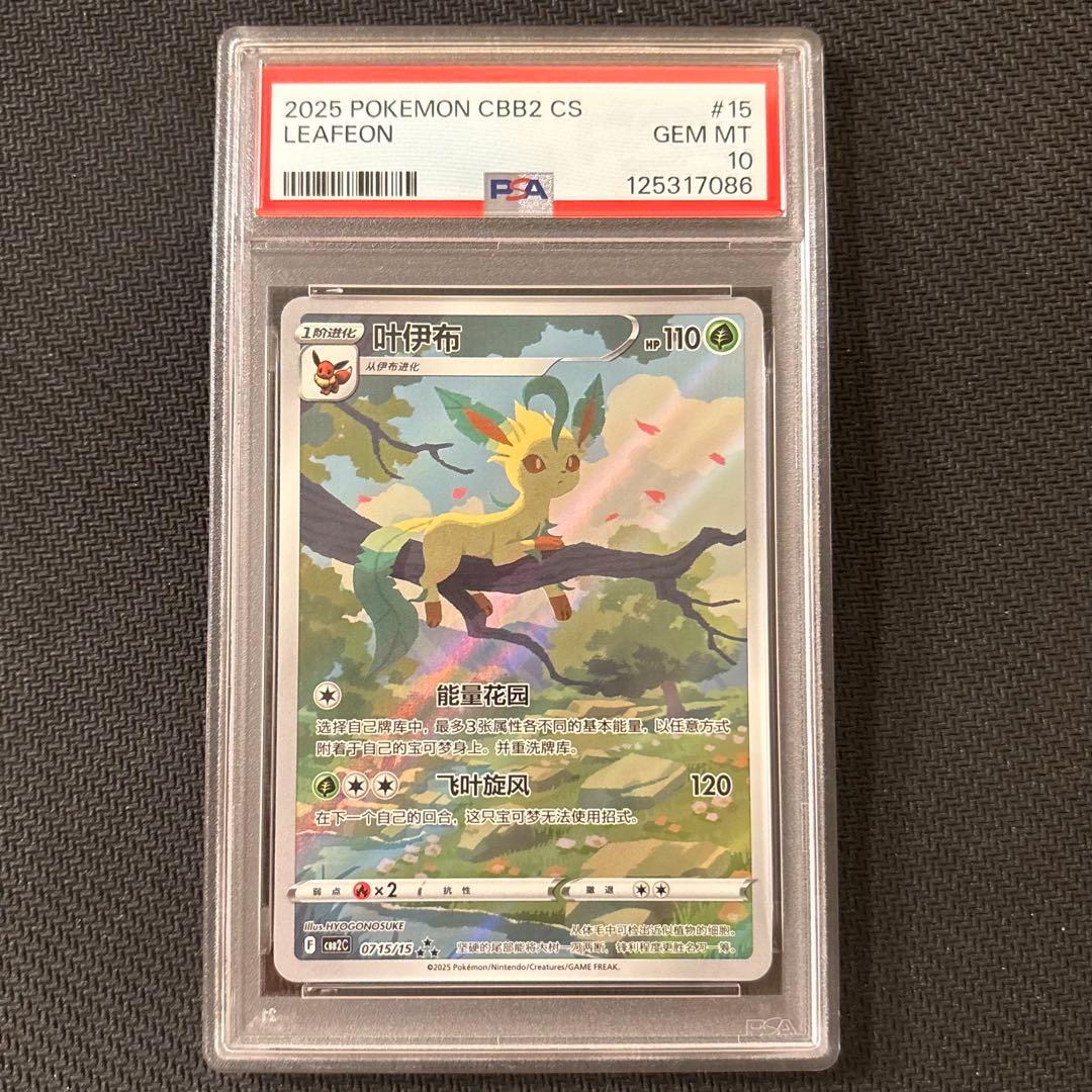 ワンオーナー品　リーフィア　中国　AR PSA10 ②