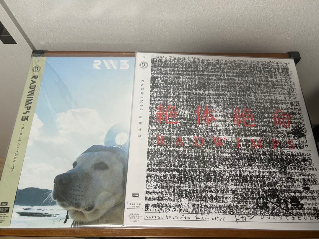 RADWIMPS アナログ レコード 絶体絶命 RADWIMPS3 無人島