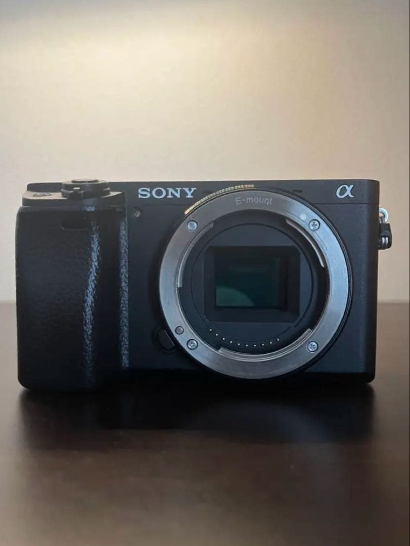 SONY α6400 ボディ&付属品