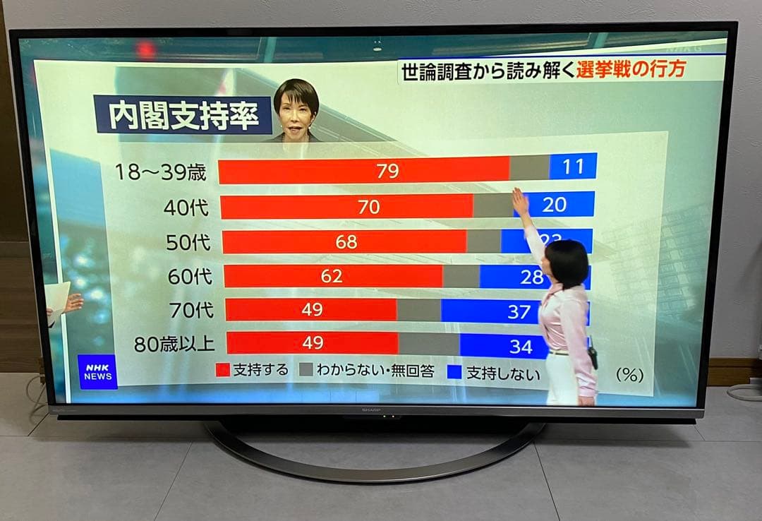 シャープ アクオス　50V型 4K液晶テレビ LC-50US45 動画アプリ