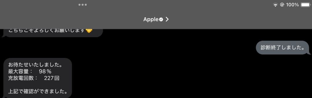 iPad Pro 11インチ 第2世代 Wi-Fi+Cellular 256GB