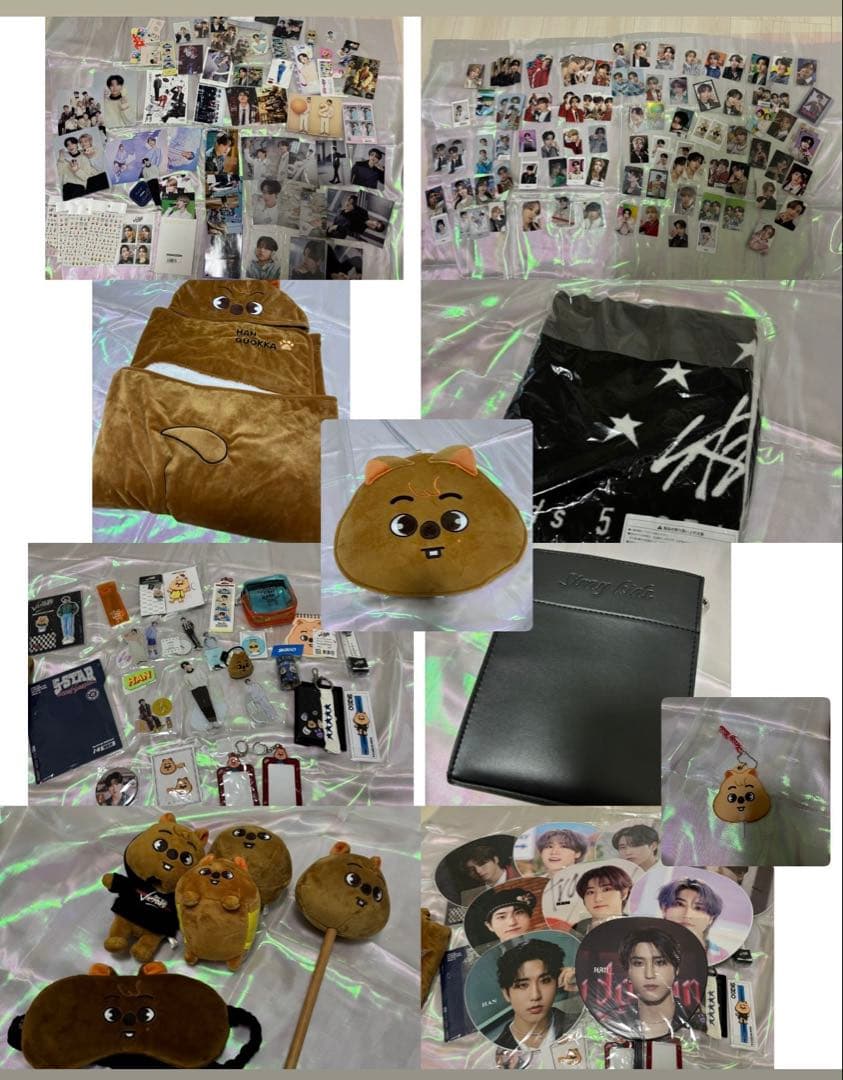 ハンジソン　まとめ売り