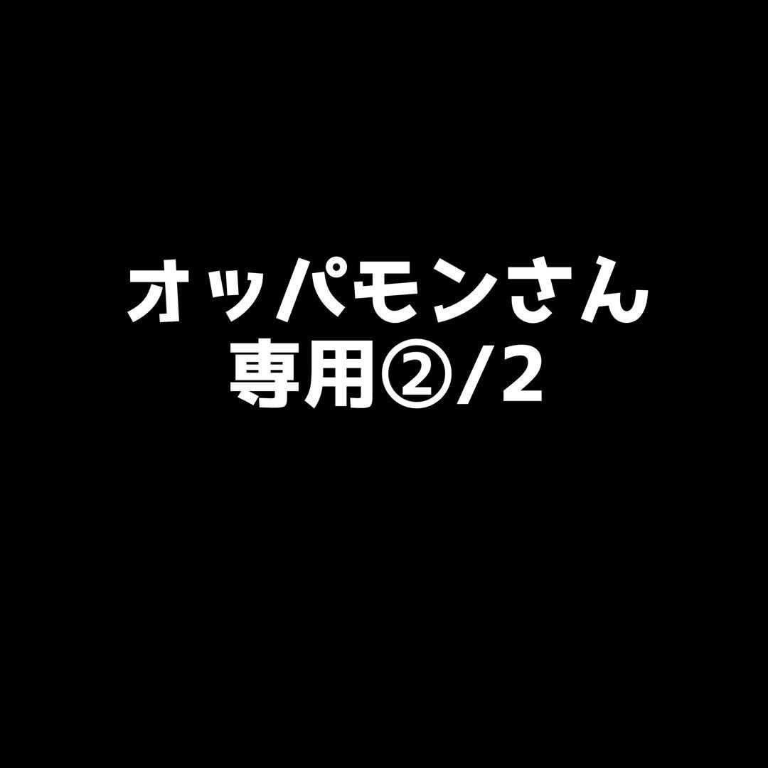 オッパモンさん専用② レンズとアクセサリー類