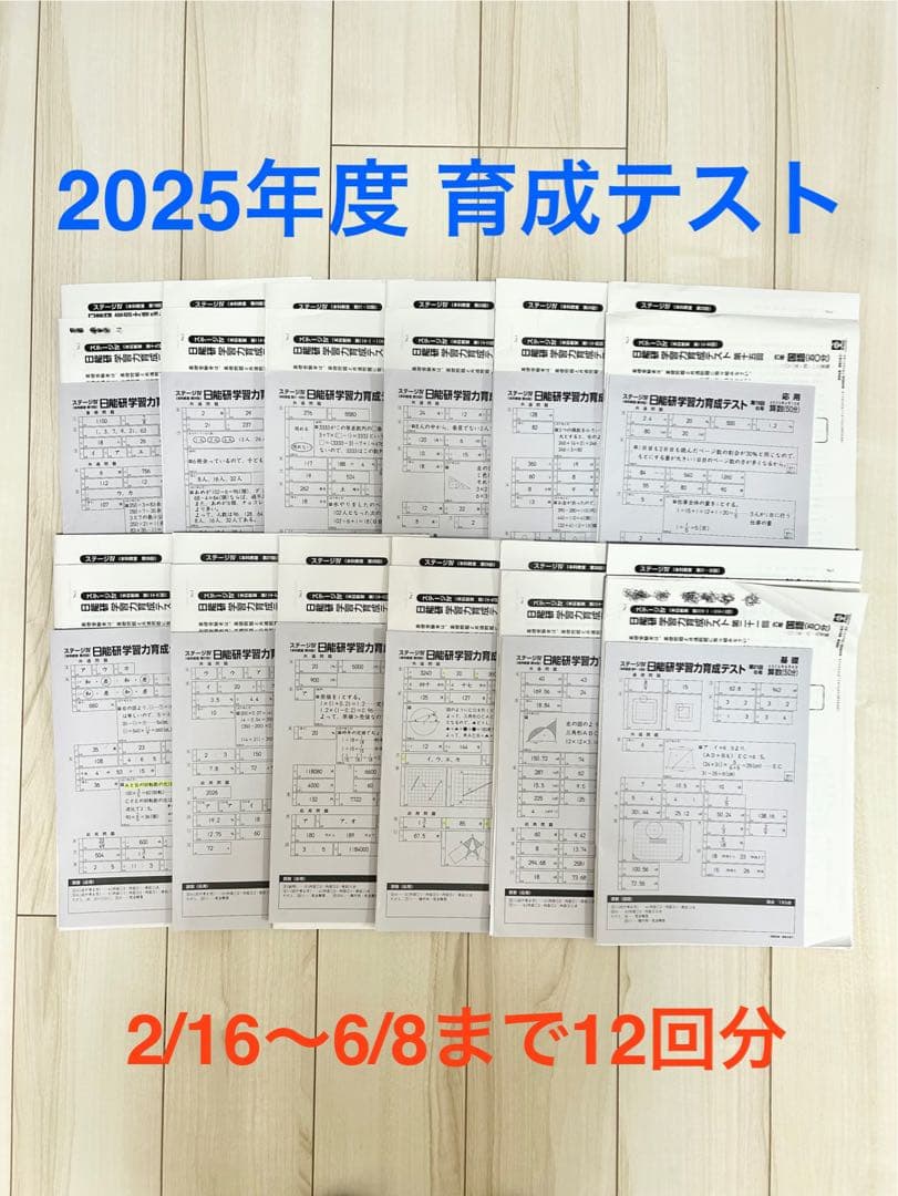 日能研 育成テスト★6年 前期(6/8までの12回分) 2025年度 最新版★