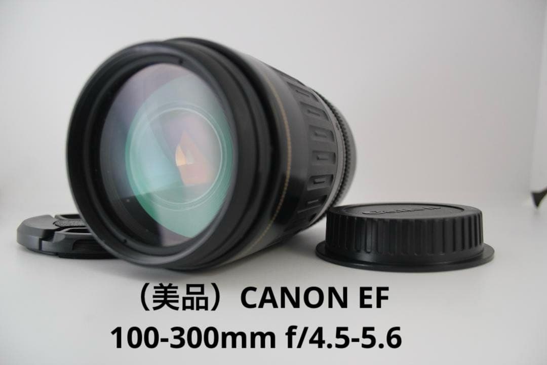 （美品）CANON EF 100-300mm f/4.5-5.6