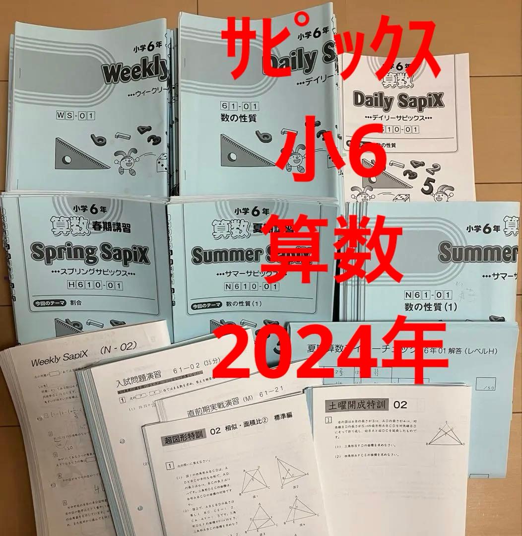 小6 算 デイリーサポート デイリーサピックス24回+春期•夏期 ウィークNプリ