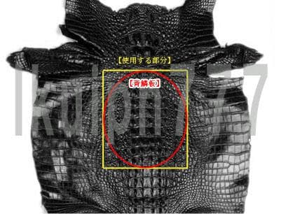 Z01 クロコダイル 長財布 ラウンドファスナー メンズ 新品 未使用
