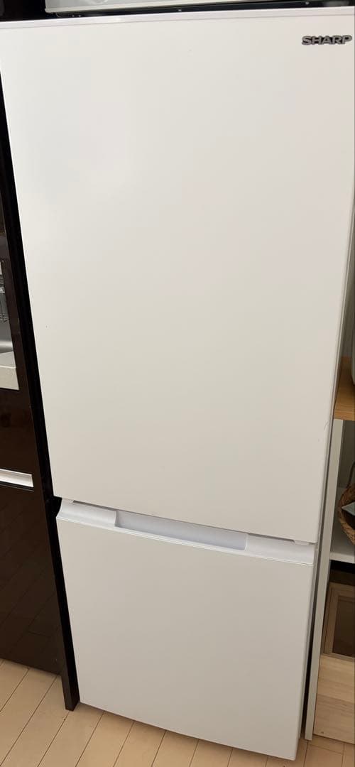 2022年 冷蔵庫 一人暮らし 二人暮らし SHARP シャープ