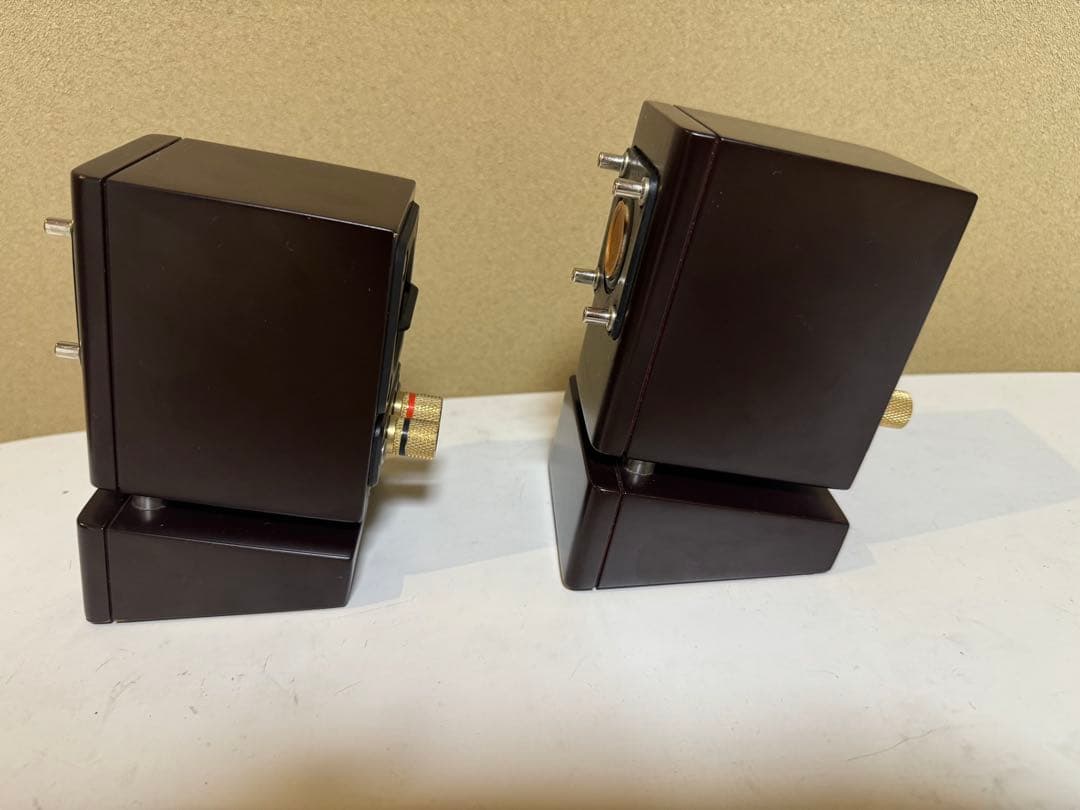 JVC EX-NW1 スピーカーのみ　ウッドコーン　コンパクトスピーカー