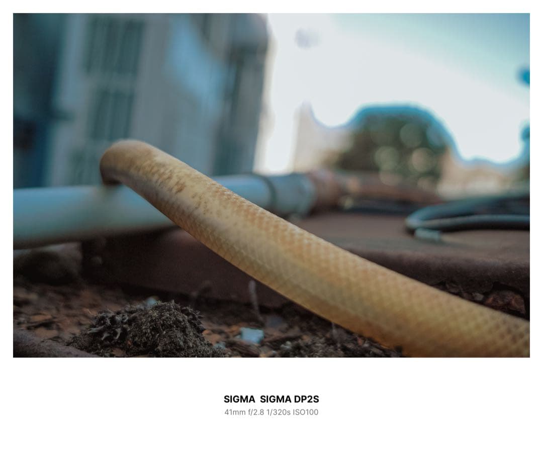 【希少美品】SIGMA DP2s（APS-Cセンサーの最強高級コンデジ）