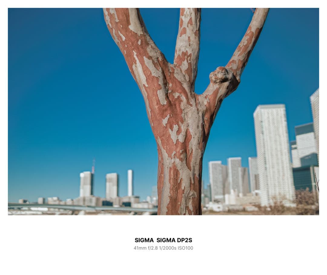 【希少美品】SIGMA DP2s（APS-Cセンサーの最強高級コンデジ）