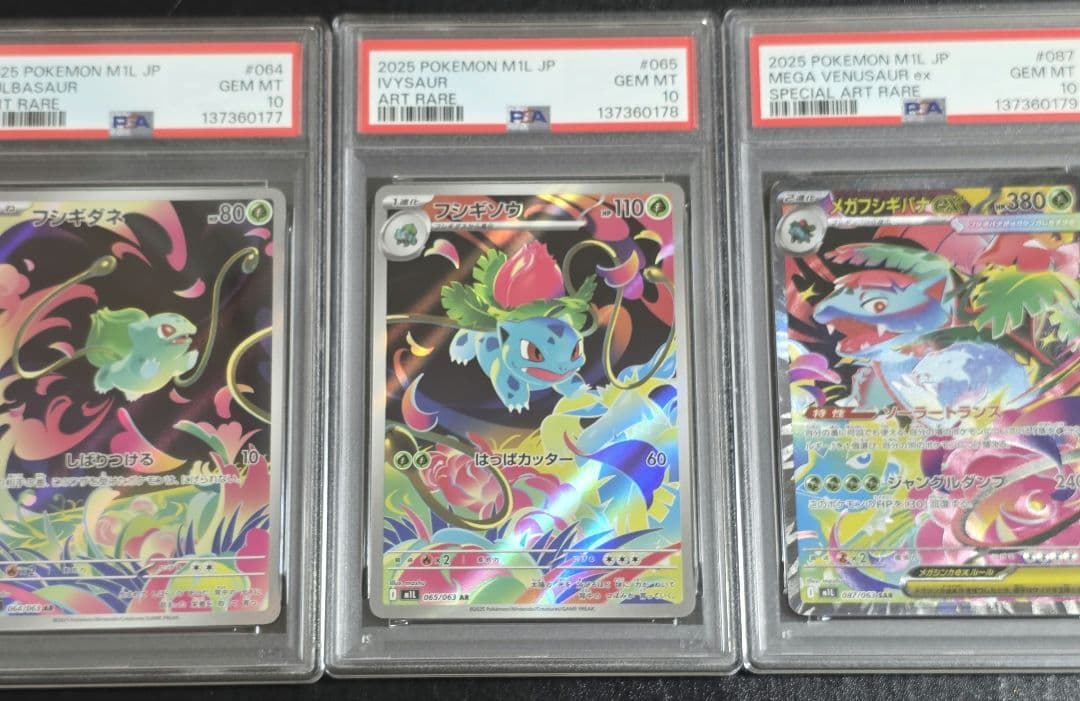 【PSA10連番】メガフシギバナex_SAR 進化ライン