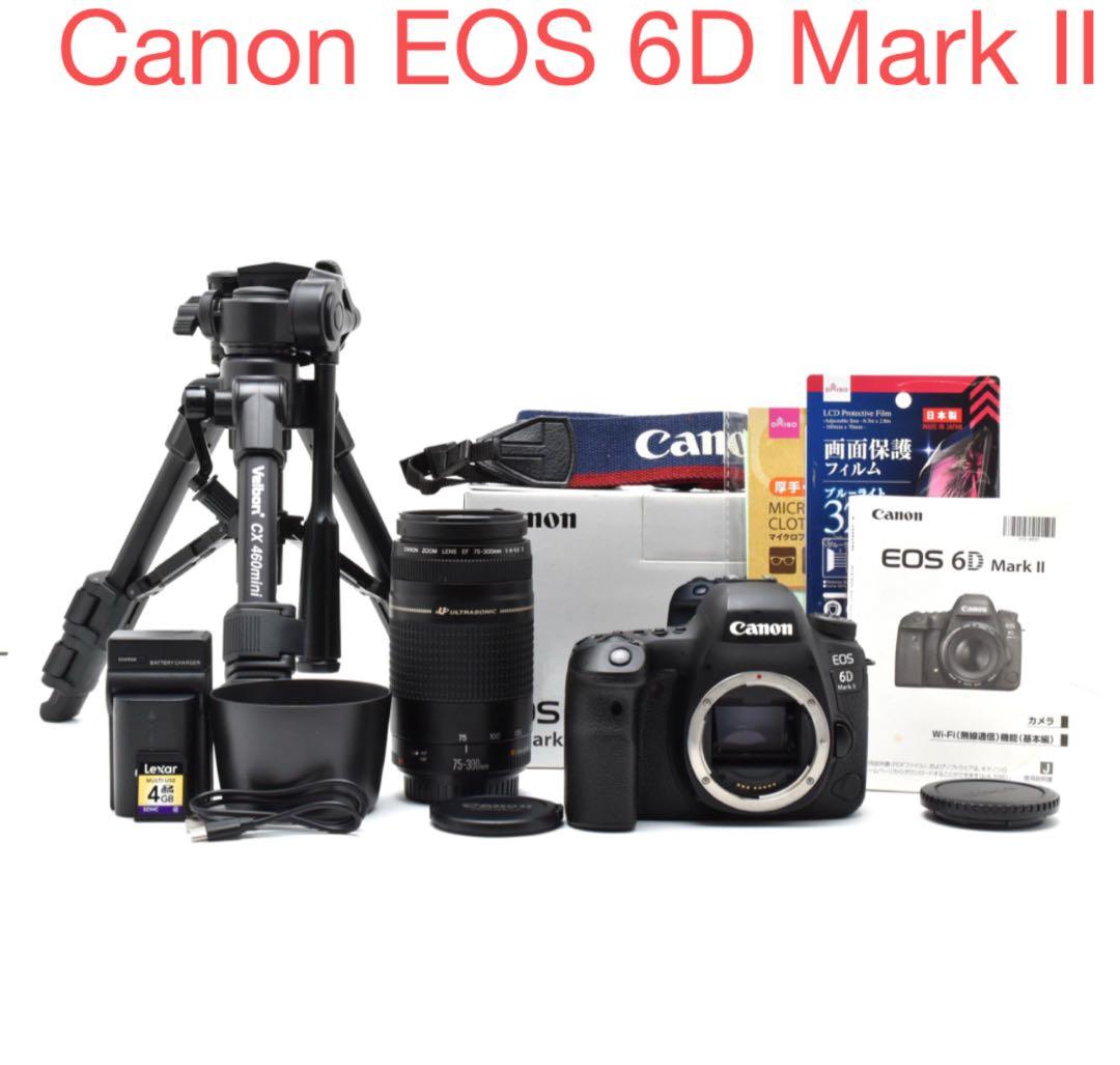 デジタル一眼レフカメラCanon EOS 6D Mark II/望遠レンズセット