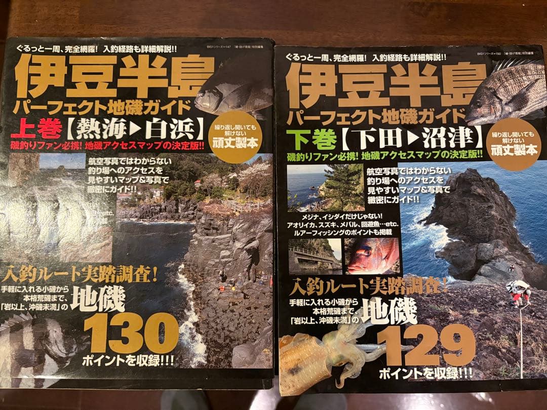 地磯ガイド　伊豆半島　上下巻　絶版