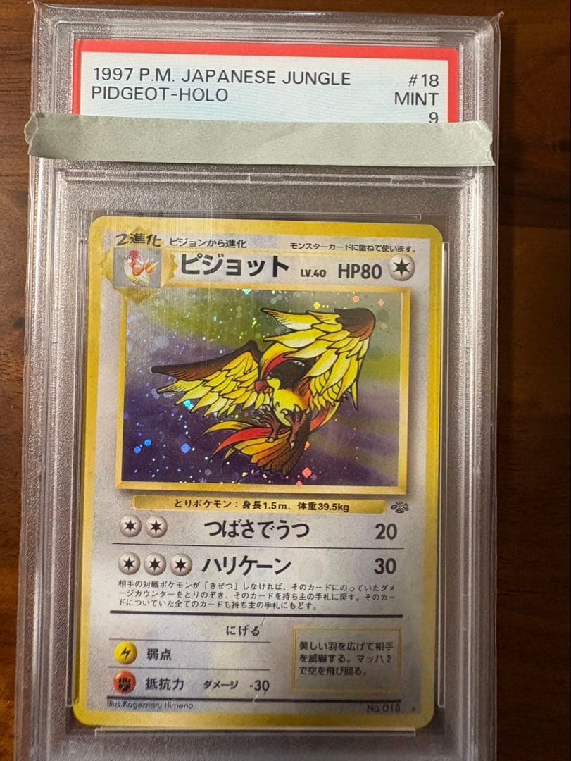PSA9 旧裏 ピジョット ①