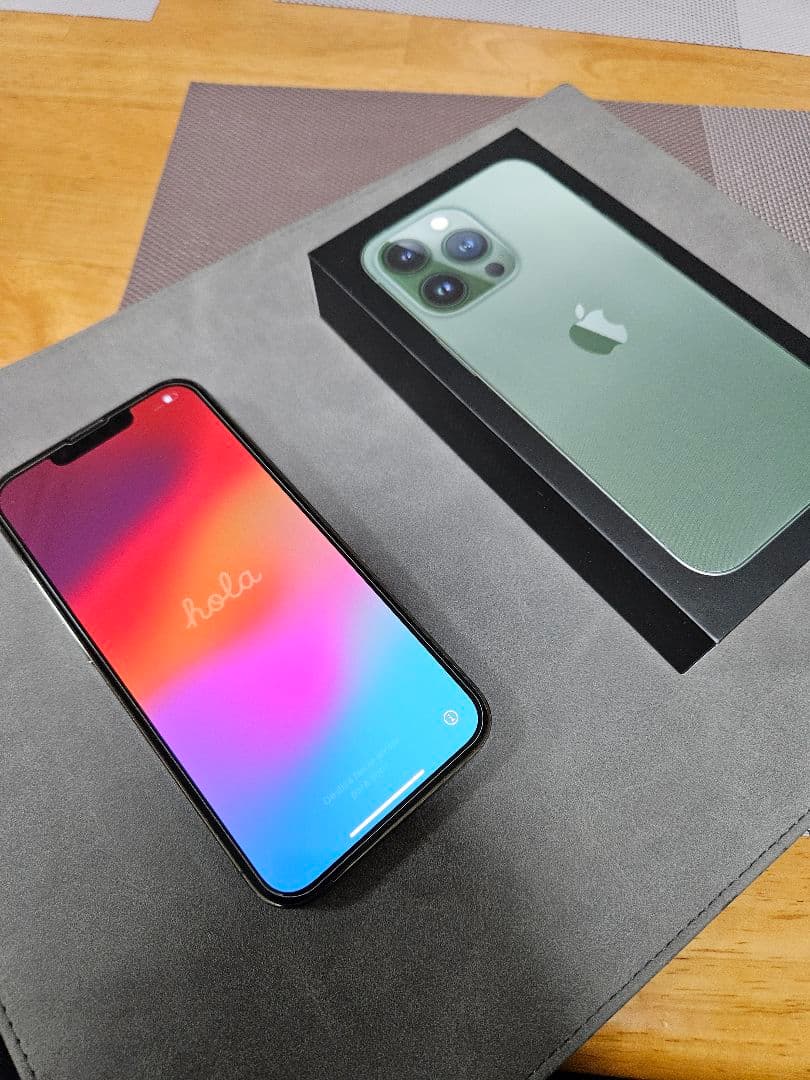 Apple iPhone 13 Pro グラファイト ケース付き