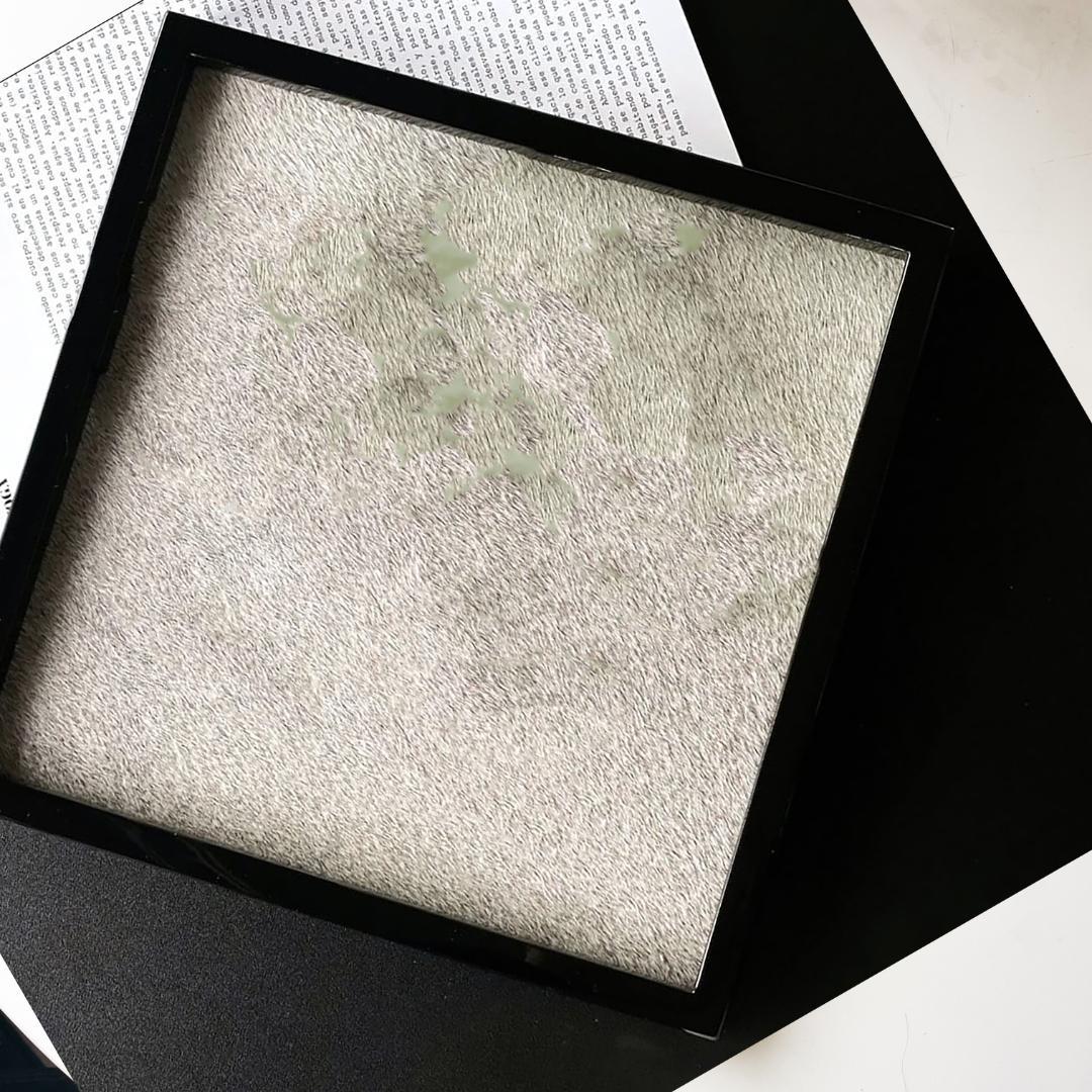 ★新品【海外限定】【再販なし】インテリアトレイ ブラック ホーストレイ スクエア