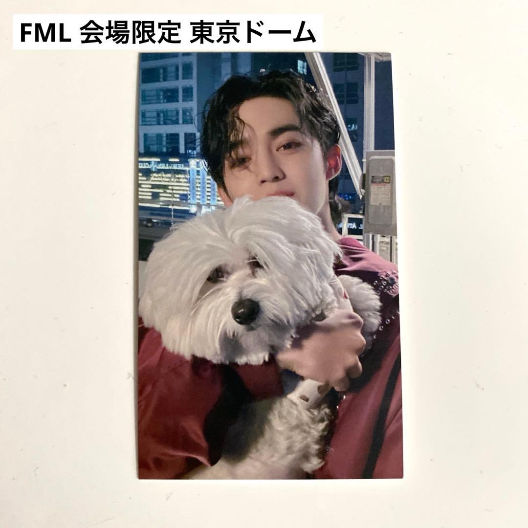 FML 会場限定 東京ドーム スンチョル S. COUPS エスクプス