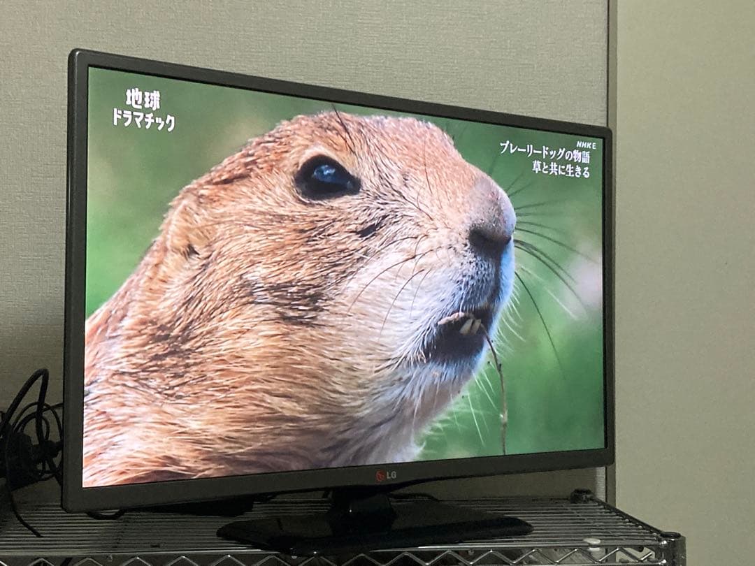 【7月下旬発送】LG 28インチテレビ　28LB491B ／2014年製