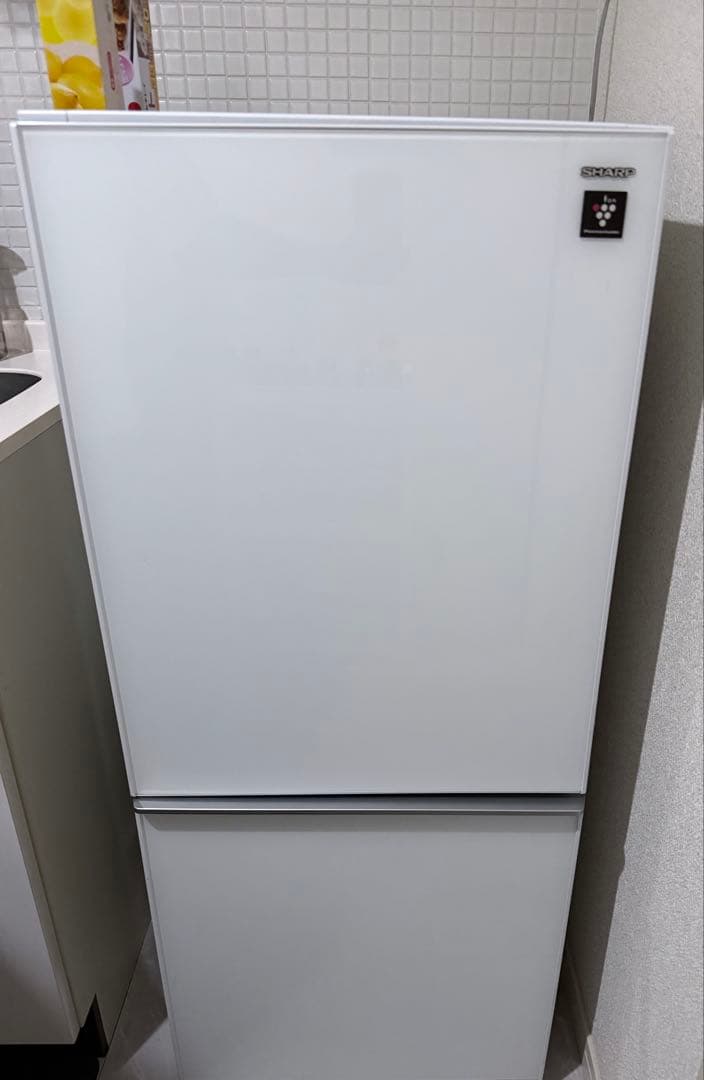 本日中⭐️SHARP SJ-GD14C-W 冷蔵庫 137L ガラスホワイト
