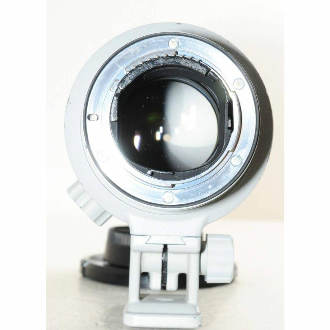 NIKON ニコン AF-S N 70-200mm F2.8 ライトグレー