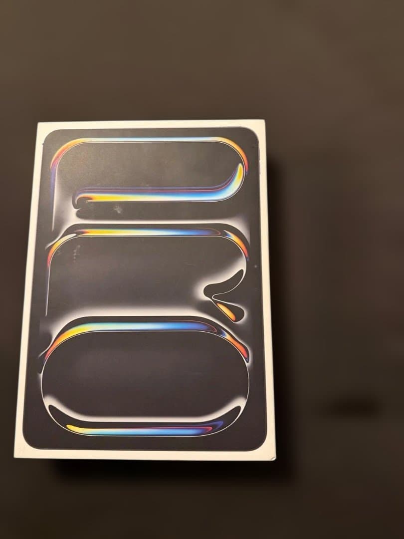 美品 11インチiPad Pro M4 256GB Wi-Fi スペースブラック