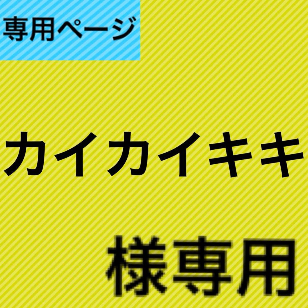 カイカイキキページ