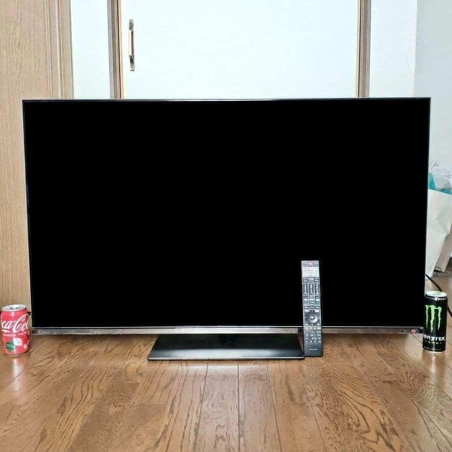 レグザ 48インチ 有機EL チューナー付 テレビ 48X8900N
