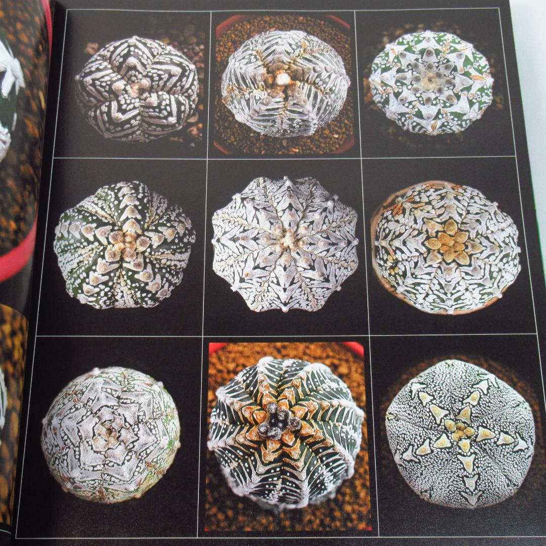 ひろ　サボテン全書 All about CACTUS 【貴重本 初版】