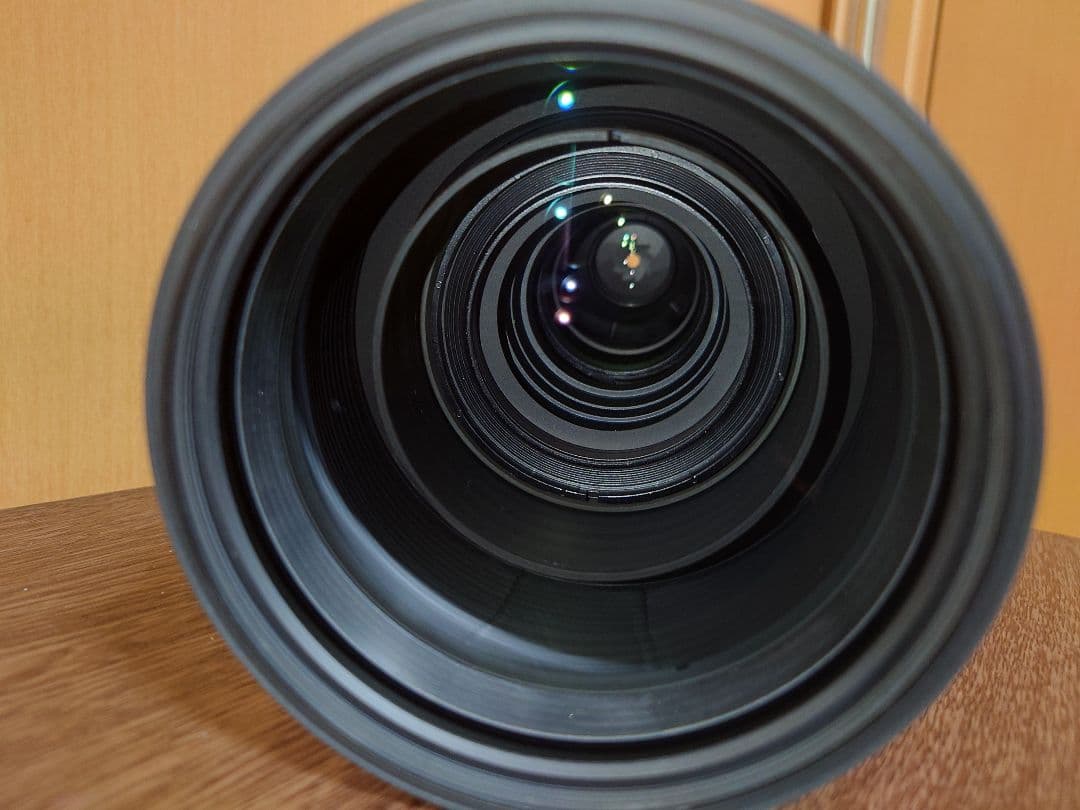 Sigma 150-600mm contemporary ニコンFマウント