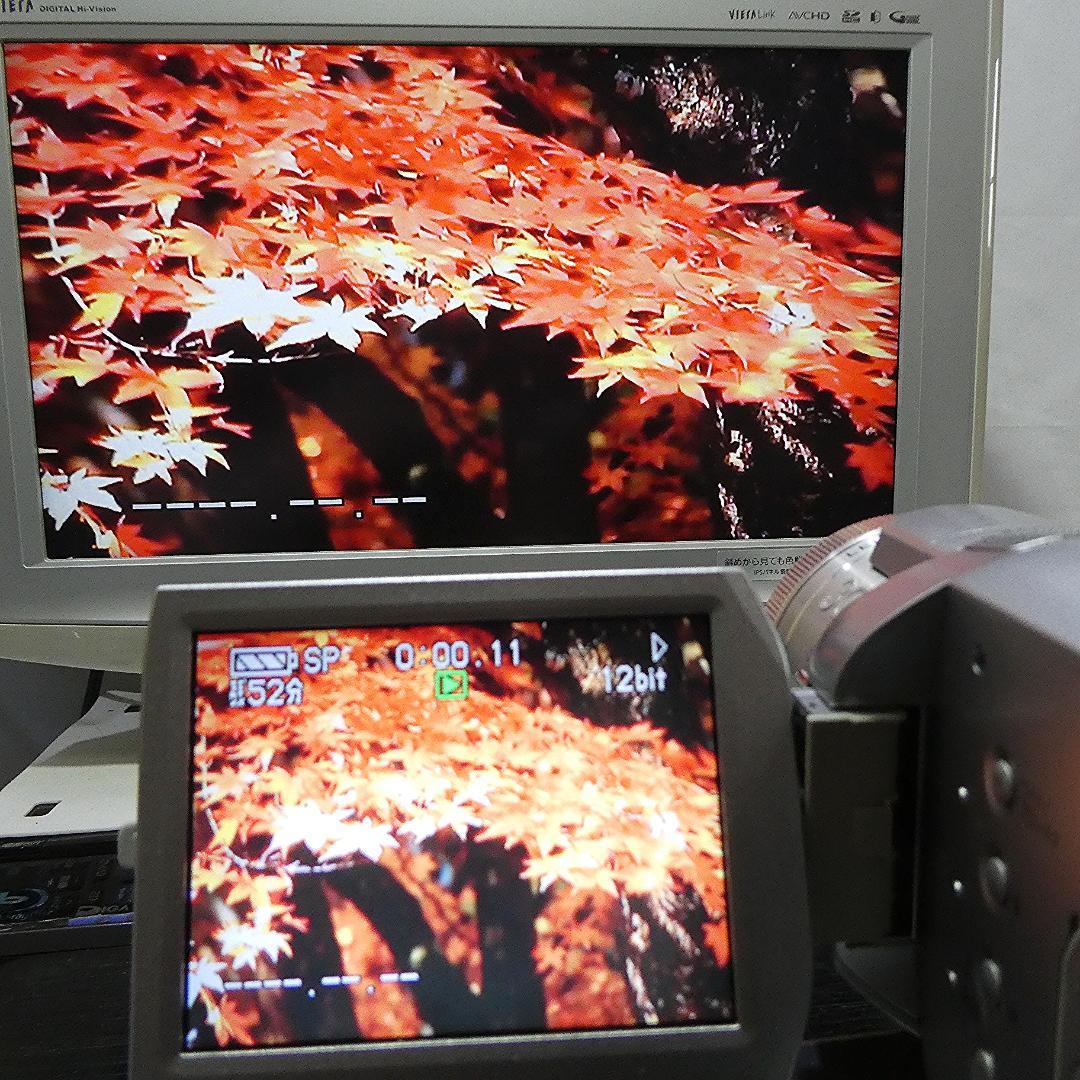 動作良好 パナソニック NV-GS400 MiniDVビデオDVDダビングに最適