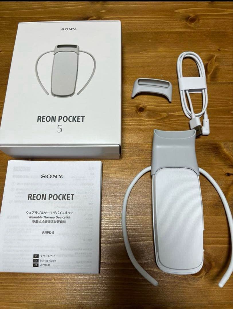 レオンポケット5 REON Pocket SONY