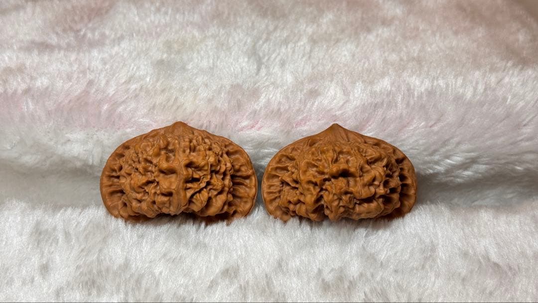 2025:收藏レベル、矮桩官帽3