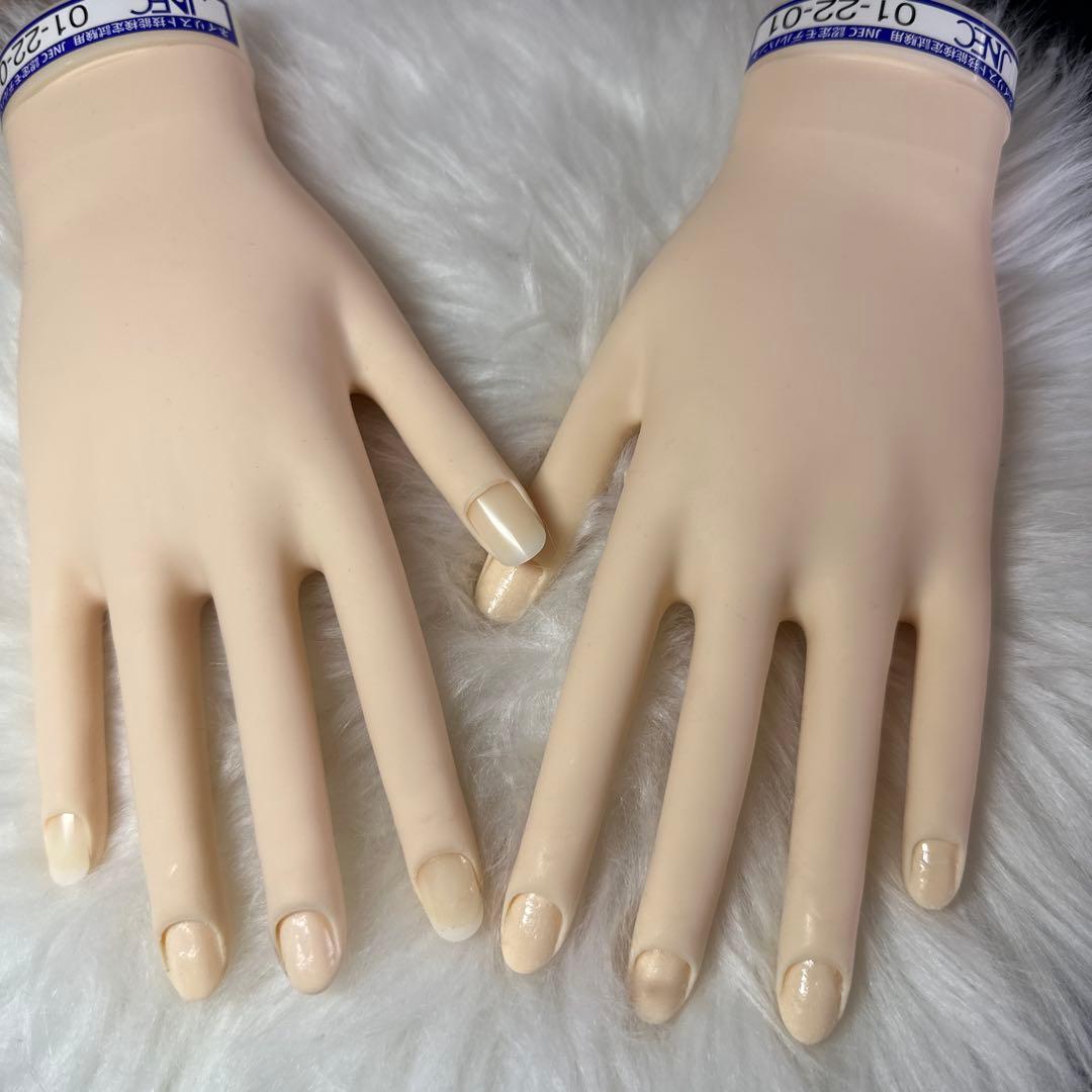 《骨折なし》JNEC 認定モデルハンド箱無し