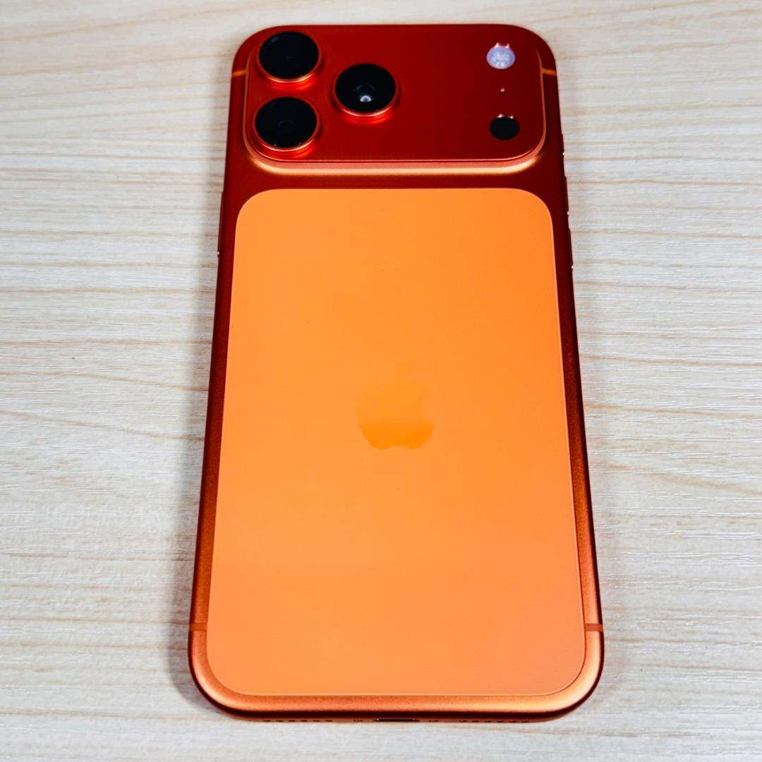 P309 美品 物理SIMカード対応 iPhone17 Pro Max 1TB