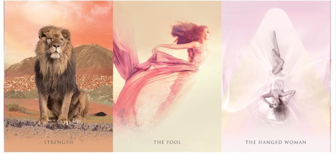 テリア★タロットカード