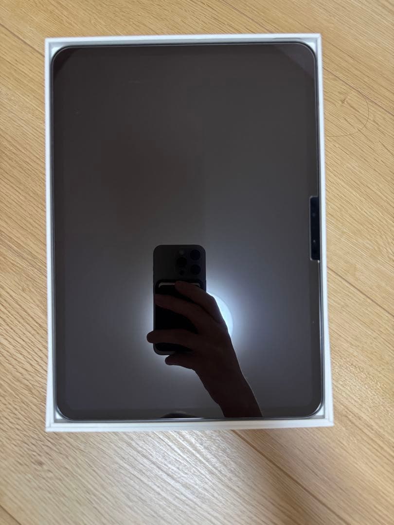 iPad Pro 11 (M4) Apple pencil pro付き